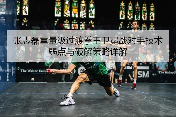 张志磊重量级过渡拳王卫冕战对手技术弱点与破解策略详解